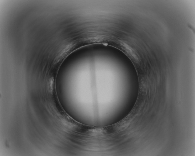 X0000096450118200801311459