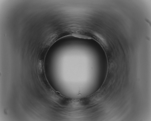 X0000096450121200801311459