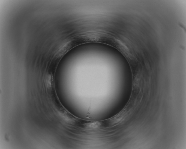 X0000096450122200801311459