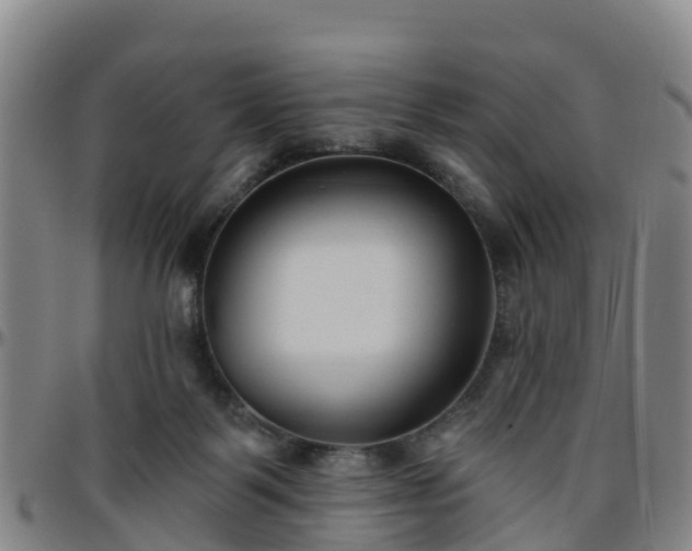 X0000096450123200801311459