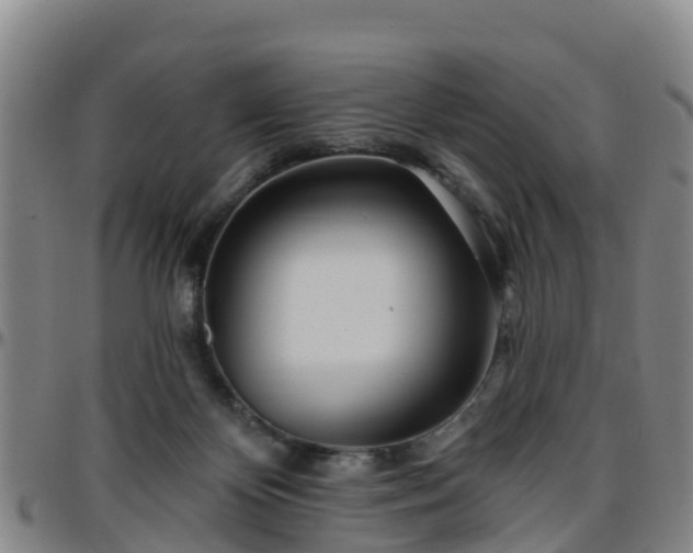 X0000096450124200801311459