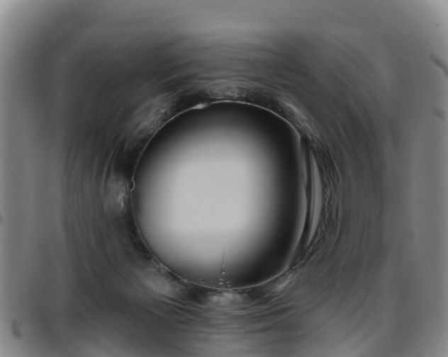 X0000096450125200801311459