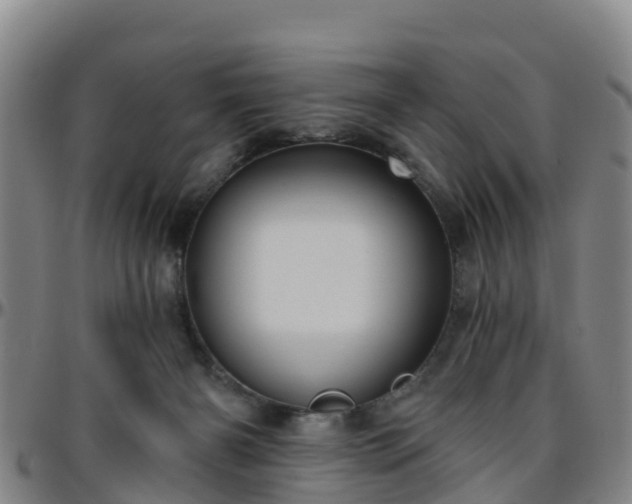 X0000096450126200801311459