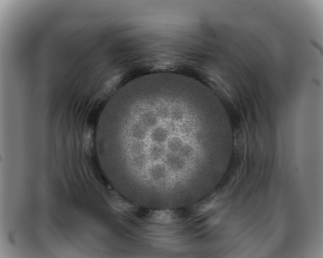 X0000096450127200801311459