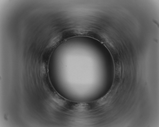 X0000096450128200801311459