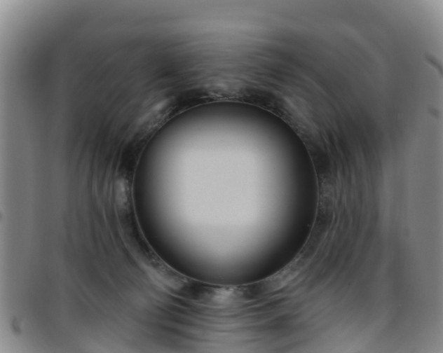 X0000096450130200801311459