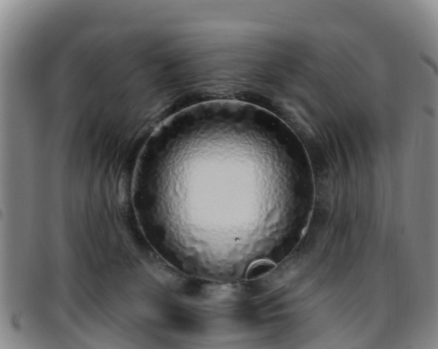 X0000096450131200801311459