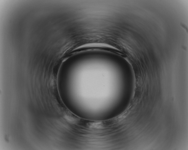 X0000096450132200801311459