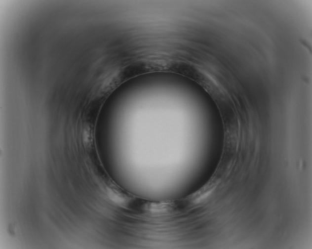 X0000096450134200801311459