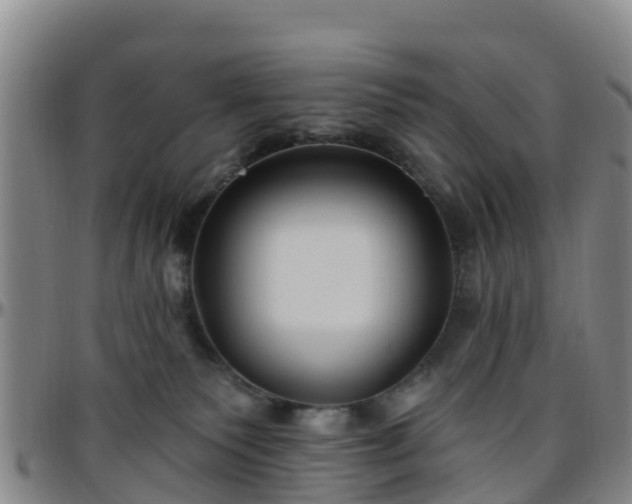 X0000096450135200801311459