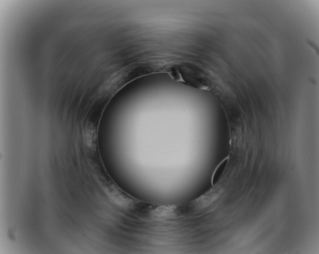 X0000096450138200801311459