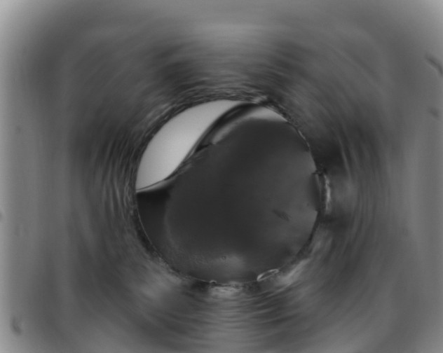 X0000096450139200801311459