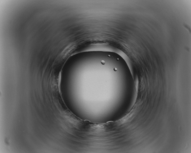 X0000096450140200801311459