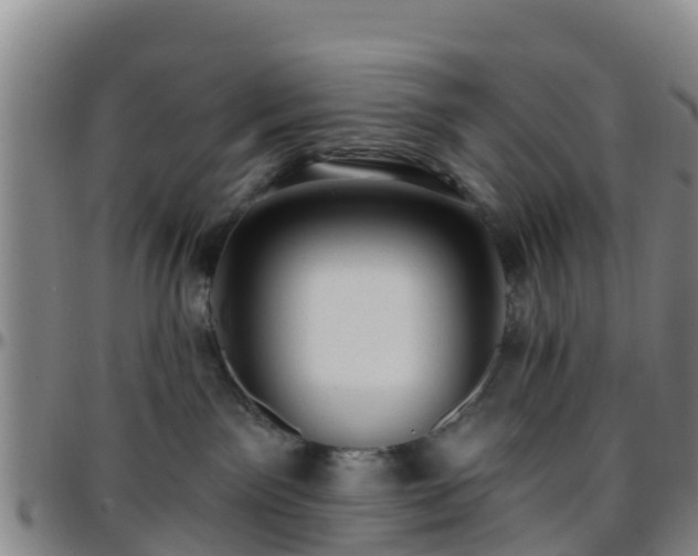 X0000096450141200801311459