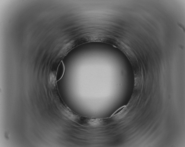 X0000096450142200801311459