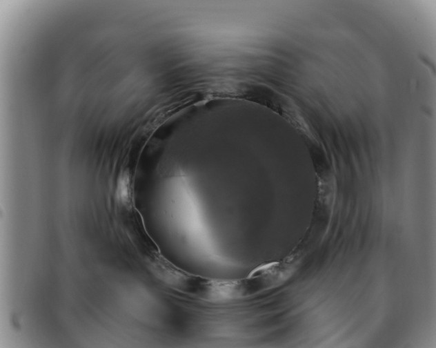 X0000096450143200801311459