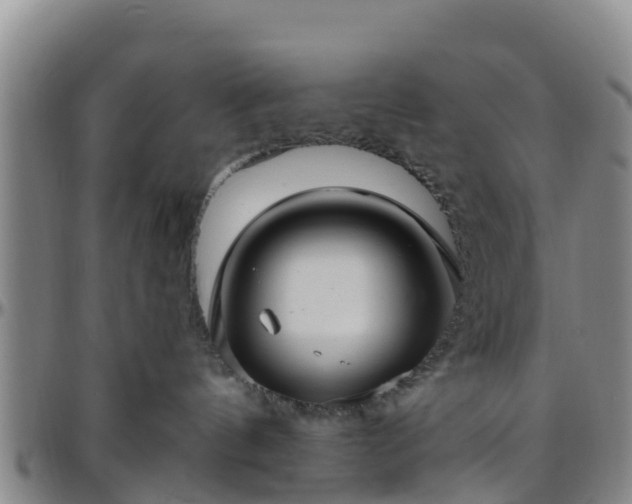 X0000096450144200801311459