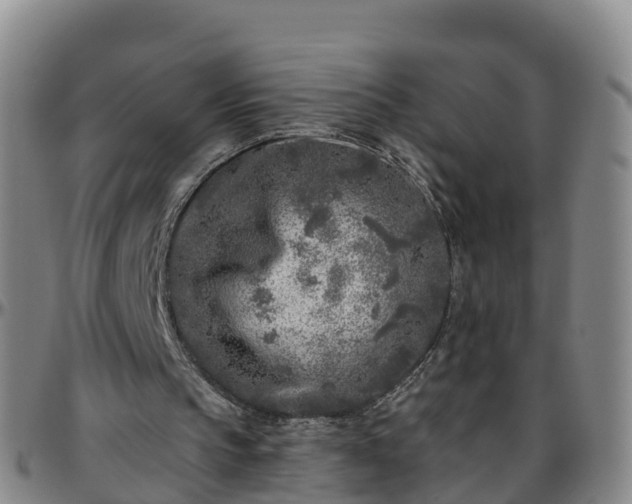 X0000096450145200801311458