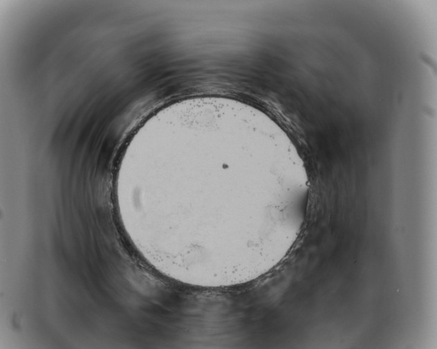 X0000096450146200801311458