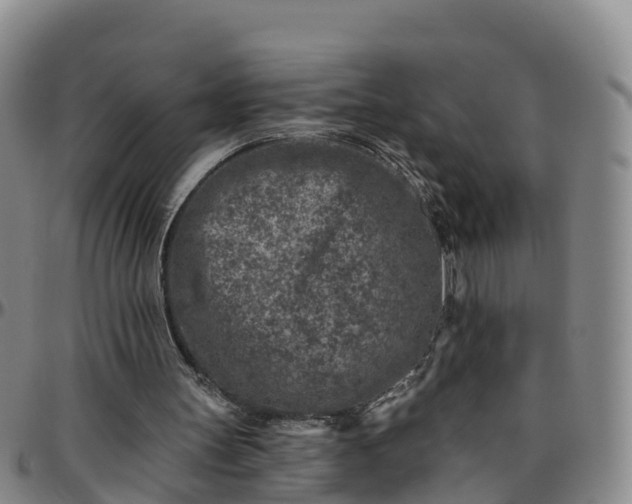 X0000096450147200801311458