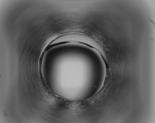 X0000096450148200801311458