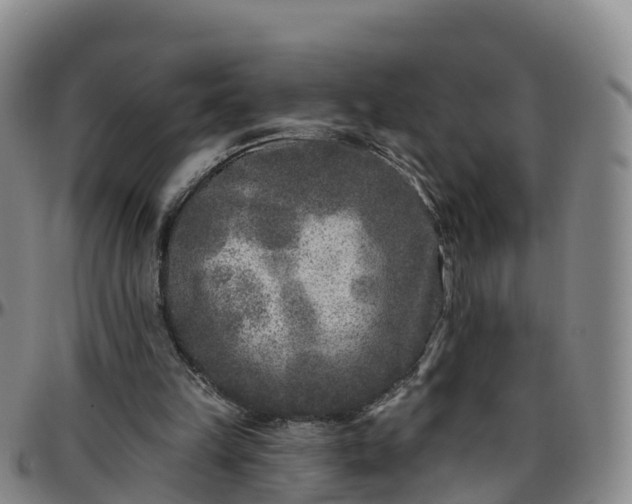 X0000096450149200801311458