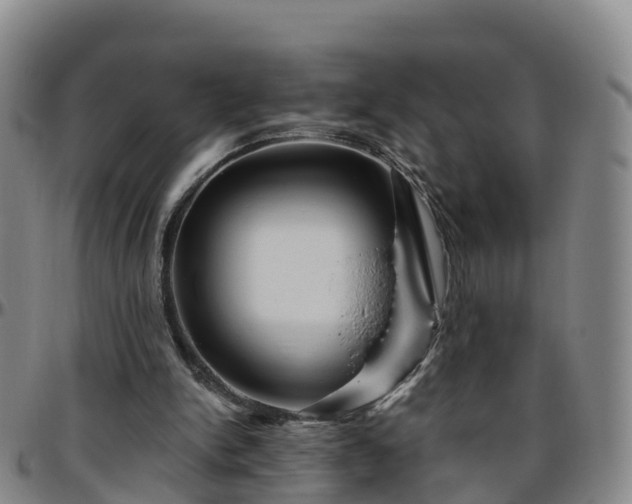 X0000096450150200801311458