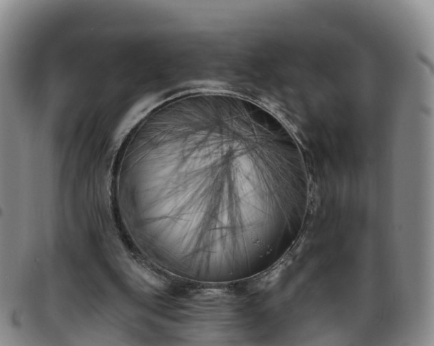 X0000096450151200801311458