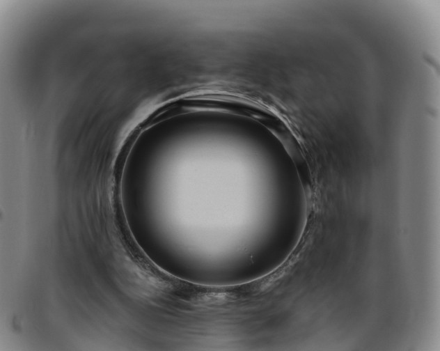 X0000096450152200801311458