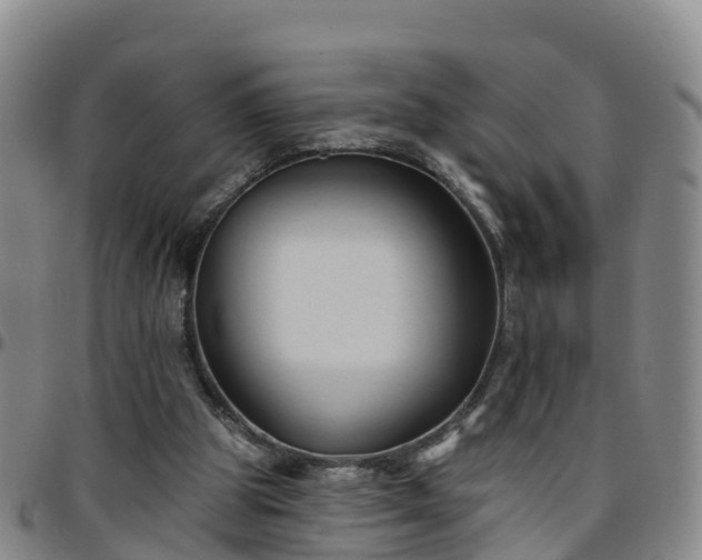 X0000096450153200801311458