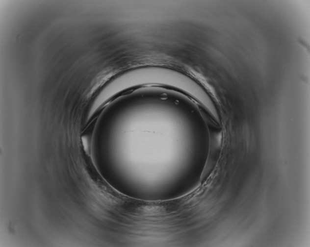 X0000096450154200801311458