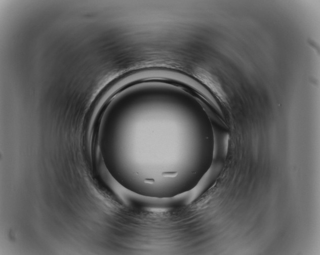 X0000096450156200801311458