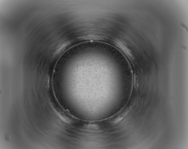 X0000096450157200801311458