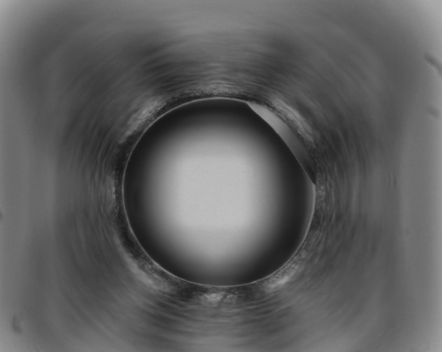 X0000096450158200801311458