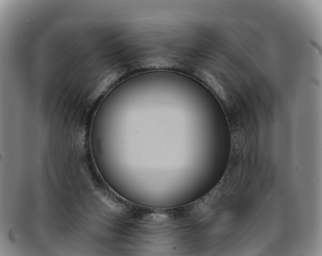 X0000096450159200801311458