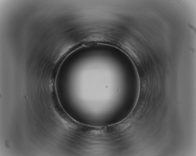 X0000096450160200801311458