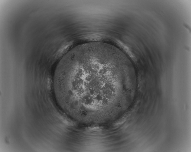 X0000096450161200801311458