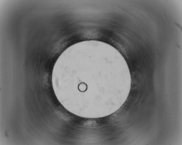 X0000096450162200801311458