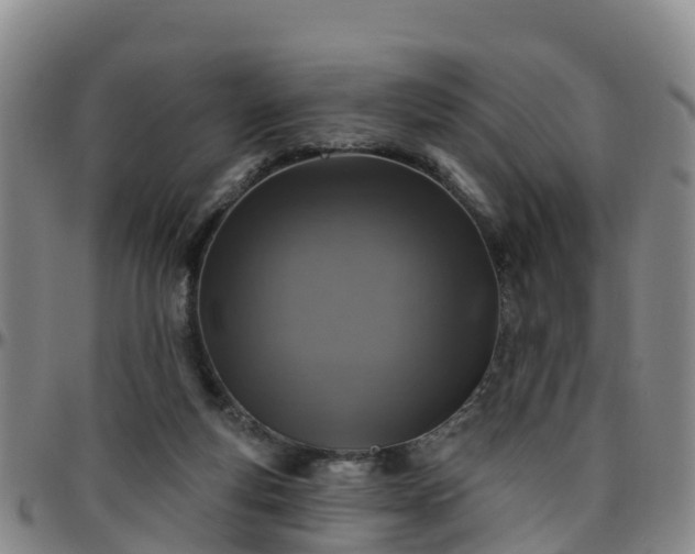 X0000096450163200801311458