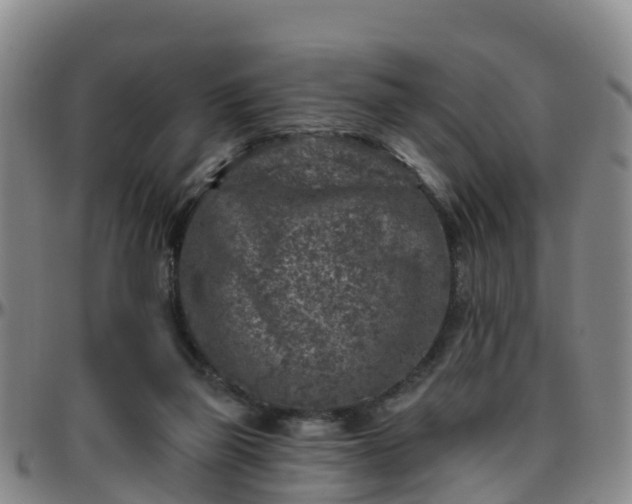 X0000096450165200801311458