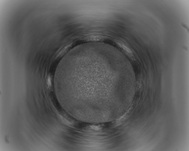 X0000096450166200801311458