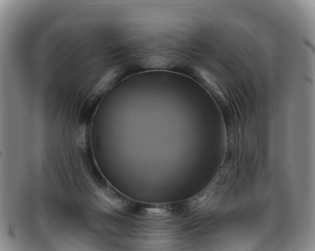 X0000096450167200801311458