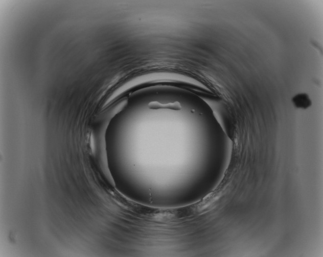 X0000096450168200801311458