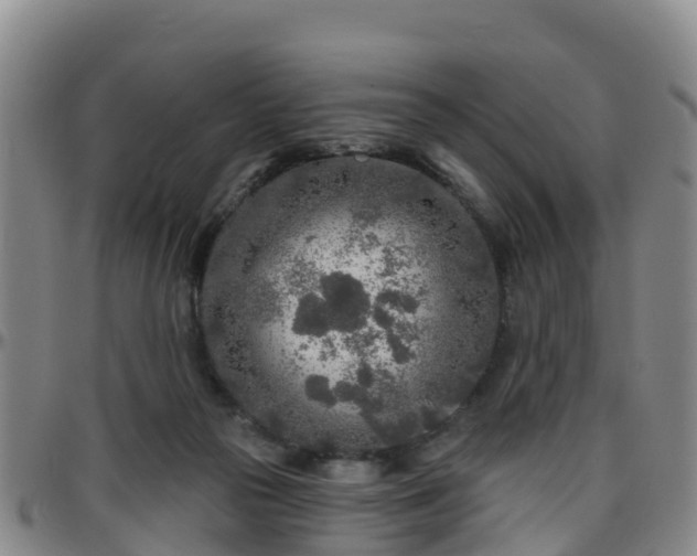 X0000096450169200801311458