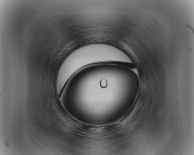 X0000096450170200801311458