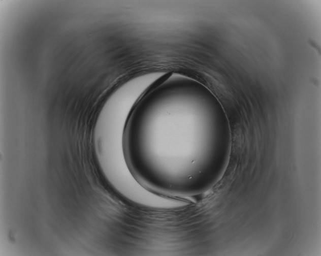 X0000096450172200801311458