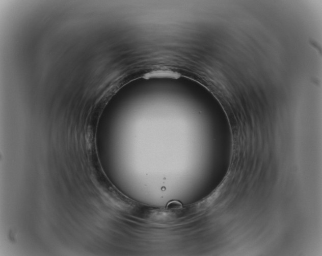 X0000096450174200801311458