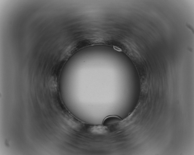 X0000096450179200801311458