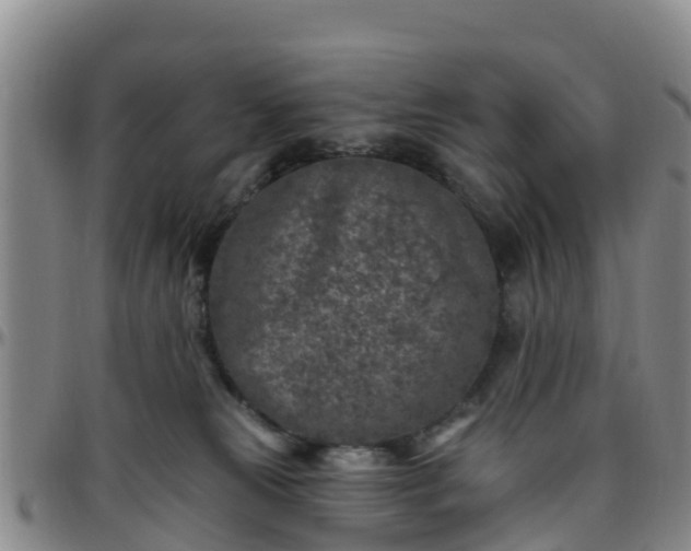 X0000096450181200801311458