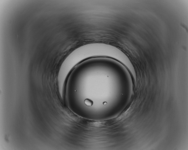 X0000096450184200801311458